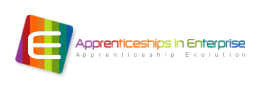 Apprenticeships in Enterprise